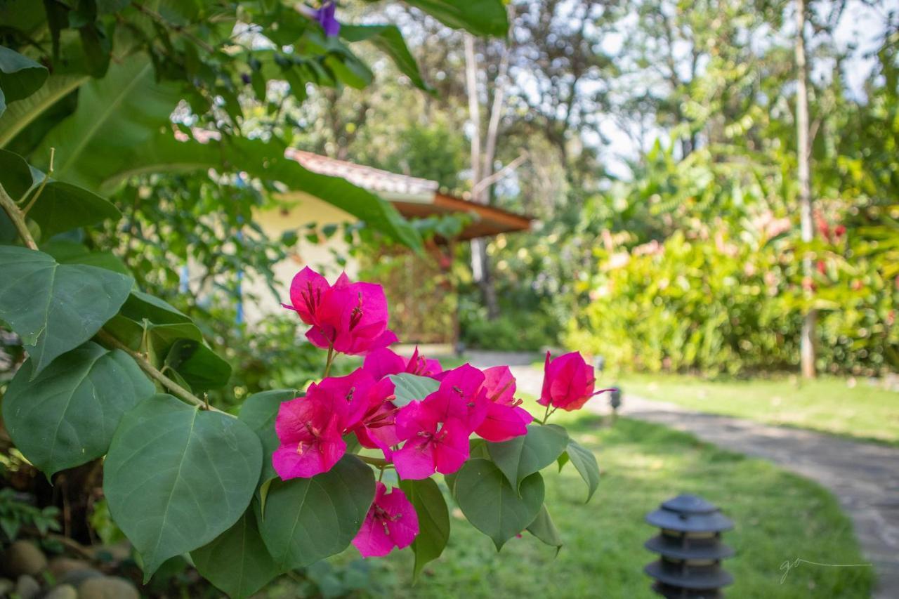 Hotel Casa Merlin Puerto Viejo de Talamanca Экстерьер фото