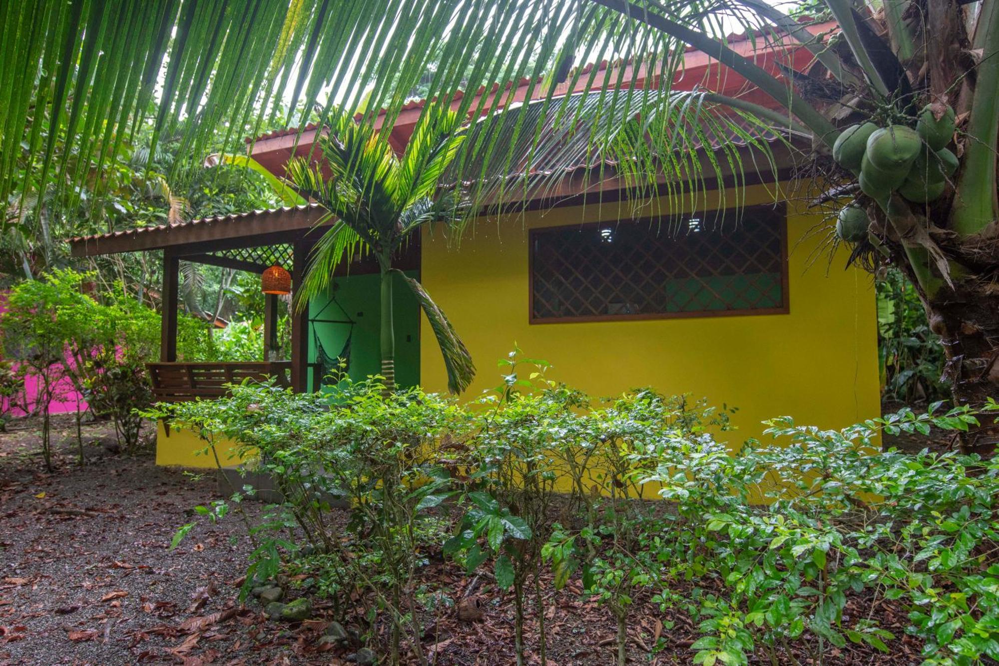 Hotel Casa Merlin Puerto Viejo de Talamanca Номер фото